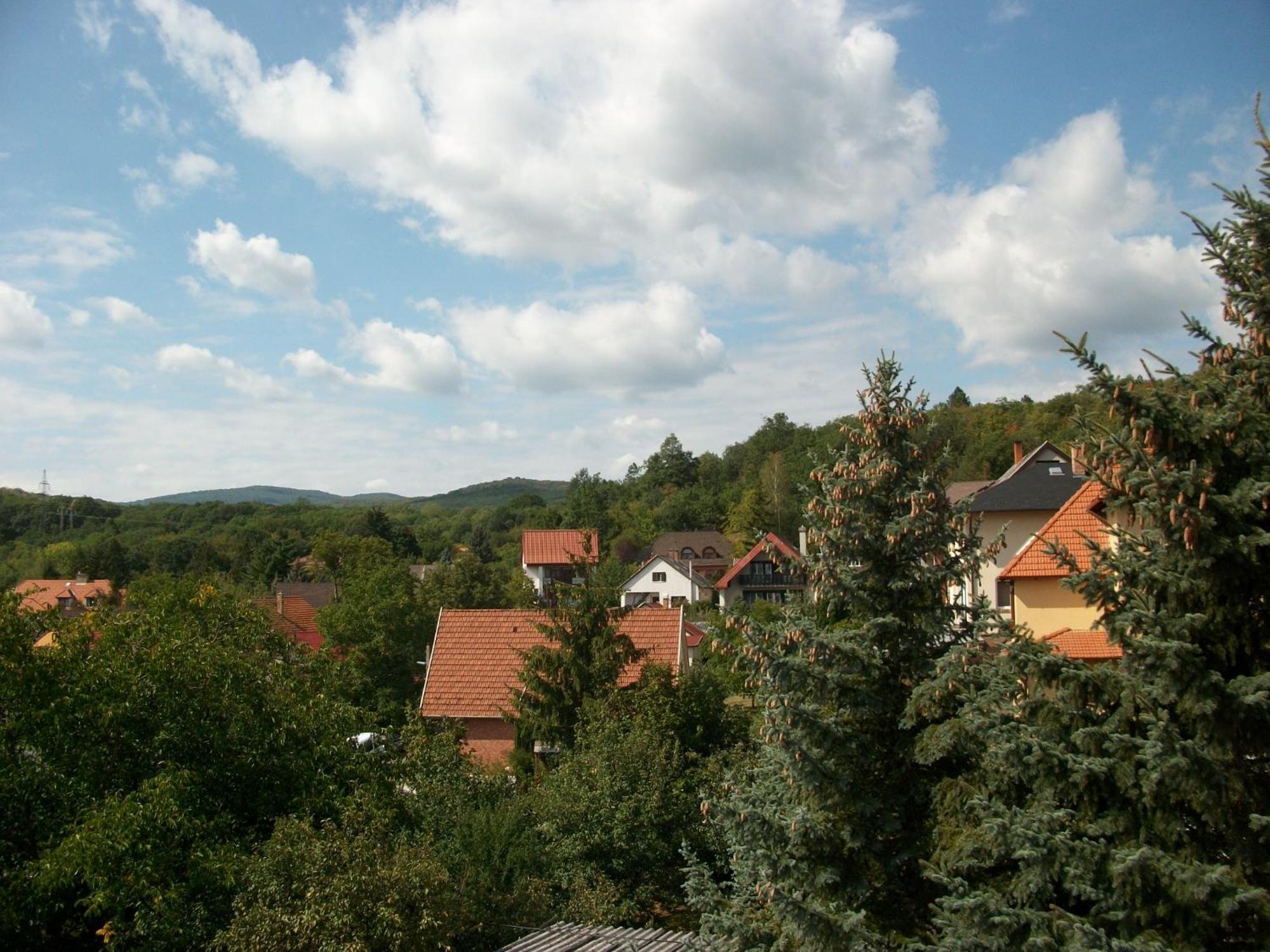 Hotel Szamoca Vendeghaz Miskolc Exterior foto